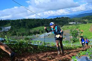 BIB: 8260
                            <button type="button" onclick="openModal(13381267)" class="btn btn-primary btn-sm float-right btn-popup" data-toggle="modal" data-target=".modal-high-quality">
                        <i class="fas fa-shopping-cart"></i> Add to Cart
                    </button>
                                            <button type="button" onclick="isThisMe(13381267, true)" class="btn btn-success btn-sm float-right btn-popup btn-isme hidden" data-toggle="tooltip" data-placement="bottom" title="นี่คือรูปของคุณใช่ไหม คลิกที่นี่เพื่อเอาเข้าอัลบั้ม">
                        <i class="fas fa-plus"></i> Add to album
                    </button>
                    <button type="button" onclick="isThisMe(13381267, false)" class="btn btn-warning btn-sm float-right btn-popup btn-isnotme hidden">
                        <i class="fas fa-ban"></i> Remove from album
                    </button>